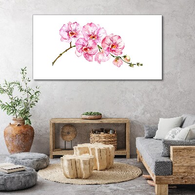 Schilderij op doek Roze orchideeën op een witte achtergrond