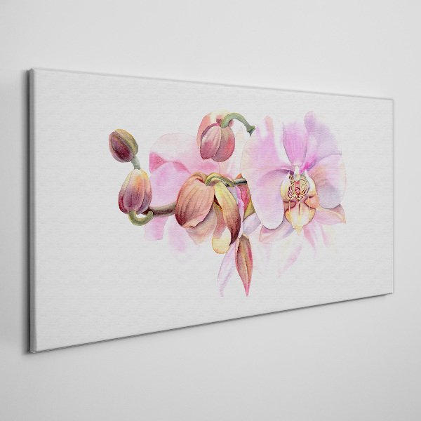 Foto op canvas Orchidee in pasteltinten