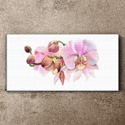 Foto op canvas Orchidee in pasteltinten