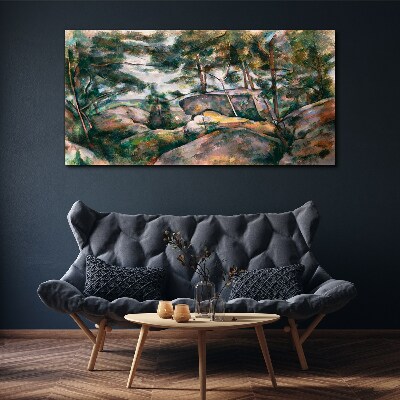 Canvas schilderij Een rotsachtig landschap tussen de bomen