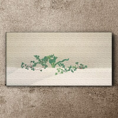 Canvas schilderij Delicate planten tegen een neutrale achtergrond