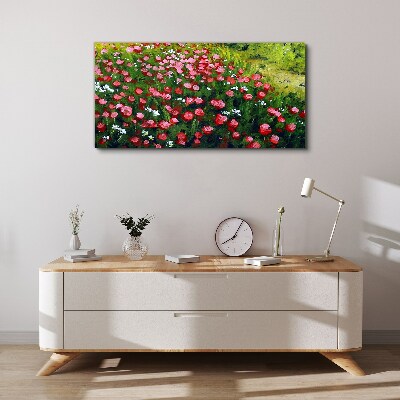 Foto op canvas Een weide vol klaprozen