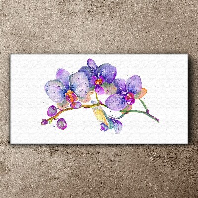 Foto op canvas De bloemenschoonheid van orchideeën