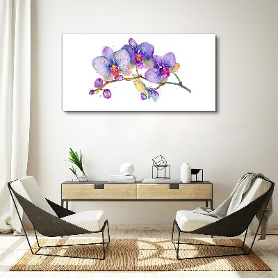 Foto op canvas De bloemenschoonheid van orchideeën