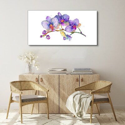 Foto op canvas De bloemenschoonheid van orchideeën
