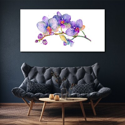 Foto op canvas De bloemenschoonheid van orchideeën