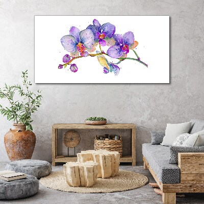 Foto op canvas De bloemenschoonheid van orchideeën