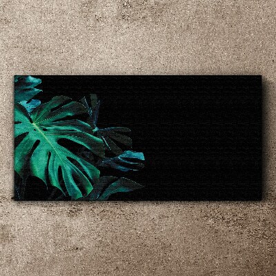 Foto op canvas Groene bladeren op een zwarte achtergrond