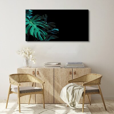 Foto op canvas Groene bladeren op een zwarte achtergrond