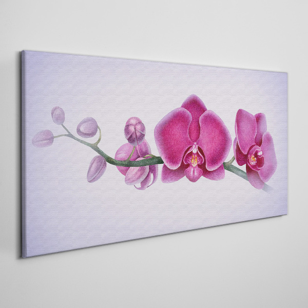 Canvas schilderij Orchideeën in delicate tinten roze