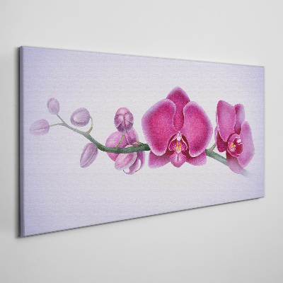 Canvas schilderij Orchideeën in delicate tinten roze