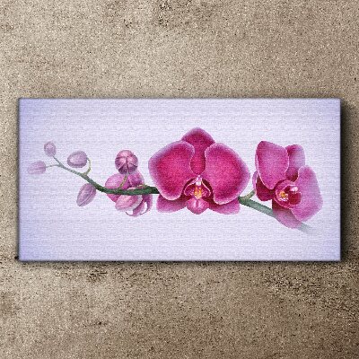 Canvas schilderij Orchideeën in delicate tinten roze