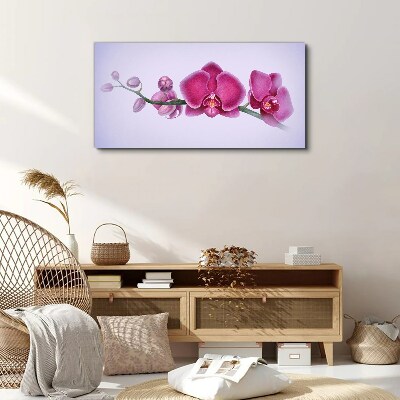 Canvas schilderij Orchideeën in delicate tinten roze