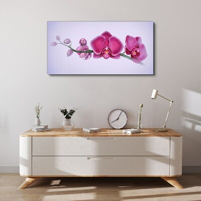 Canvas schilderij Orchideeën in delicate tinten roze