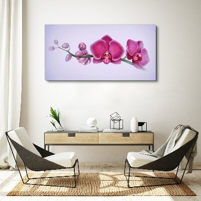 Canvas schilderij Orchideeën in delicate tinten roze