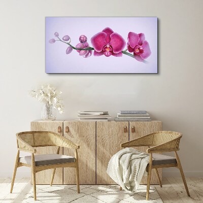 Canvas schilderij Orchideeën in delicate tinten roze