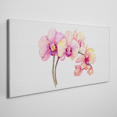 Canvas schilderij De bloemenschoonheid van orchideeën