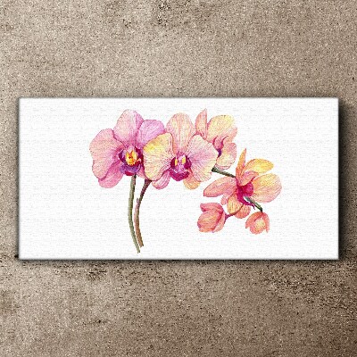 Canvas schilderij De bloemenschoonheid van orchideeën