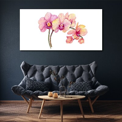 Canvas schilderij De bloemenschoonheid van orchideeën