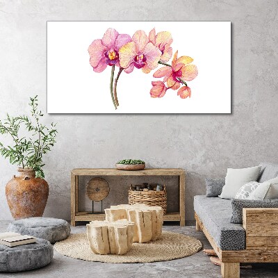 Canvas schilderij De bloemenschoonheid van orchideeën