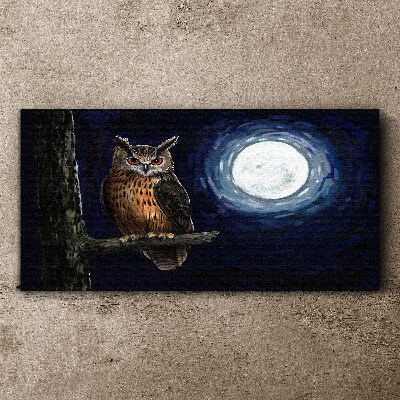 Schilderij op doek Uil in het maanlicht