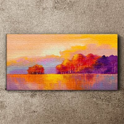 Foto op canvas Kleurrijke zonsondergang over de weide