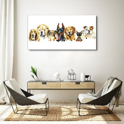 Foto op canvas Hondenvriendschappen in kleuren