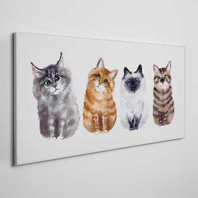 Foto op canvas Katten in verschillende tinten