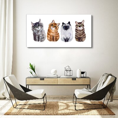 Foto op canvas Katten in verschillende tinten
