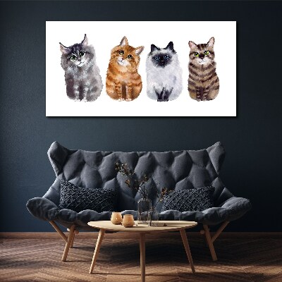 Foto op canvas Katten in verschillende tinten