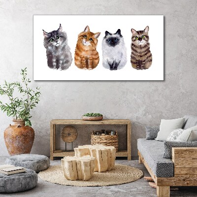 Foto op canvas Katten in verschillende tinten