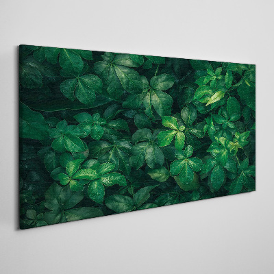 Canvas schilderij Groen struikgewas van bladeren