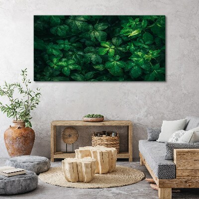 Canvas schilderij Groen struikgewas van bladeren