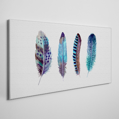 Foto op canvas Kleurrijke veren op een witte achtergrond