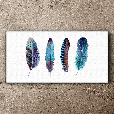 Foto op canvas Kleurrijke veren op een witte achtergrond