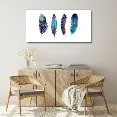 Foto op canvas Kleurrijke veren op een witte achtergrond