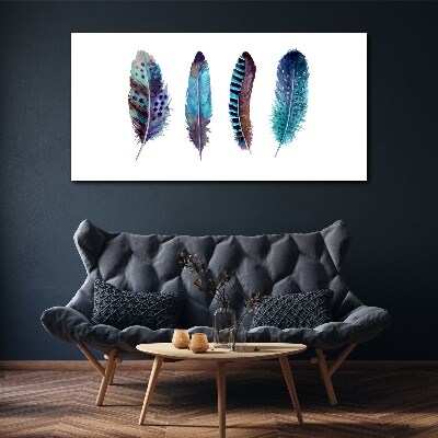 Foto op canvas Kleurrijke veren op een witte achtergrond