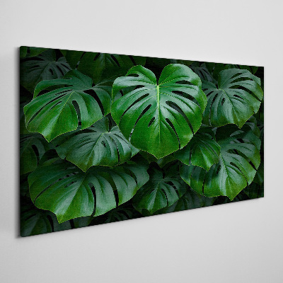 Schilderij op doek Groene symfonie van Monstera-bladeren