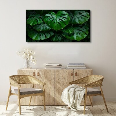 Schilderij op doek Groene symfonie van Monstera-bladeren
