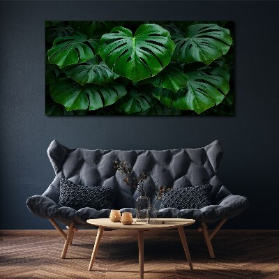 Schilderij op doek Groene symfonie van Monstera-bladeren