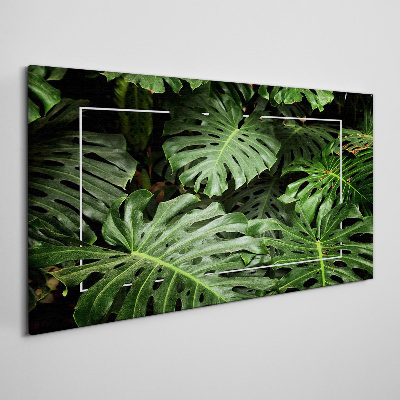 Foto op canvas Groene jungle