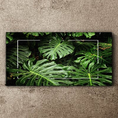 Foto op canvas Groene jungle
