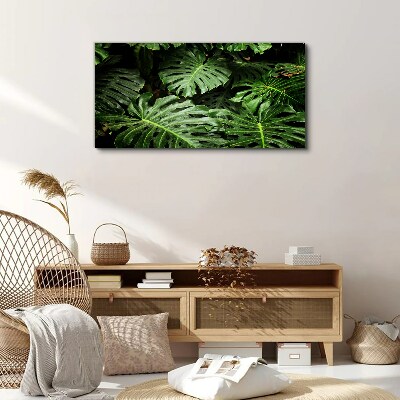 Canvas schilderij Groene jungle