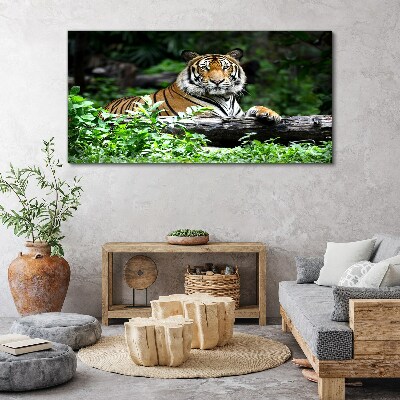 Foto op canvas Tijger in het groene bos