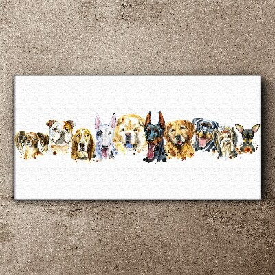 Foto op canvas Hondenvriendschappen