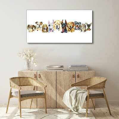 Foto op canvas Hondenvriendschappen