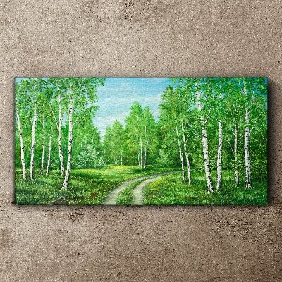 Foto op canvas Groen bos met witte berken