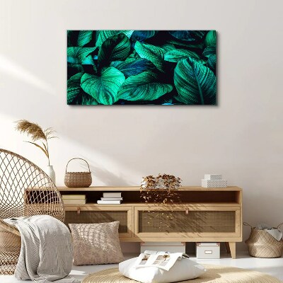 Foto op canvas Groene tropische bladeren
