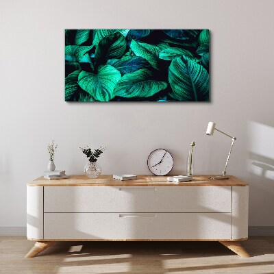 Foto op canvas Groene tropische bladeren