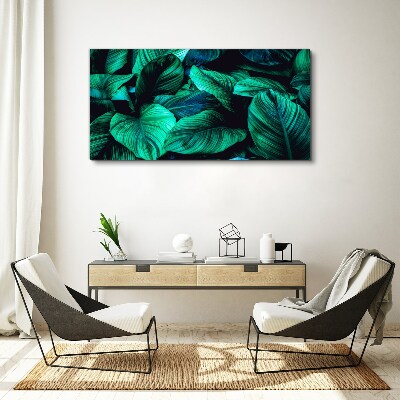 Foto op canvas Groene tropische bladeren